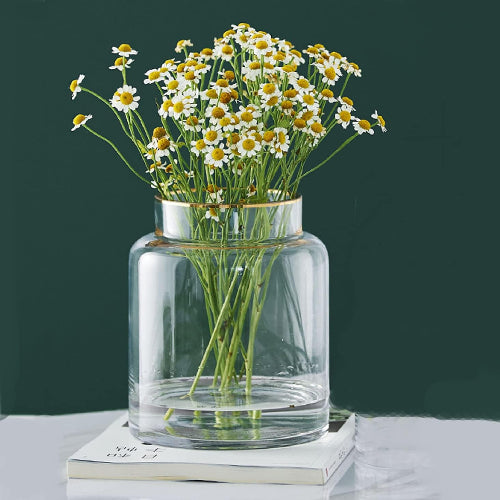 ガラス花瓶 透明 フラワーベース インテリア おしゃれ シンプル